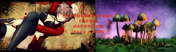 молекула духа Приозерск