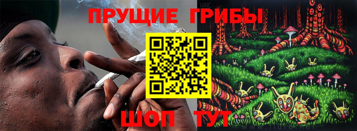 Рассказово  Галлюциногенные грибы мухоморы  Вход с VPN  Псилоцибиновые грибы MAGIC MUSHROOMS 